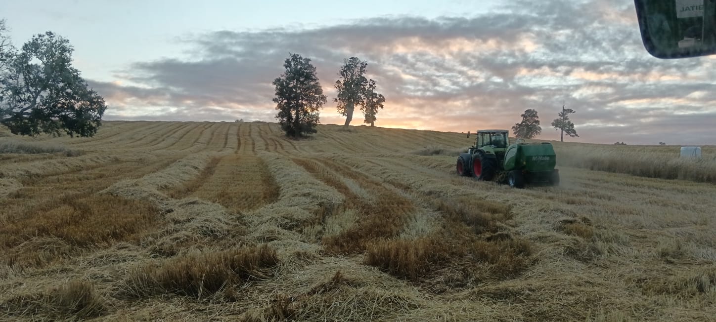 WhatsApp Image 2025-10-16 at 16.44.16 (1)