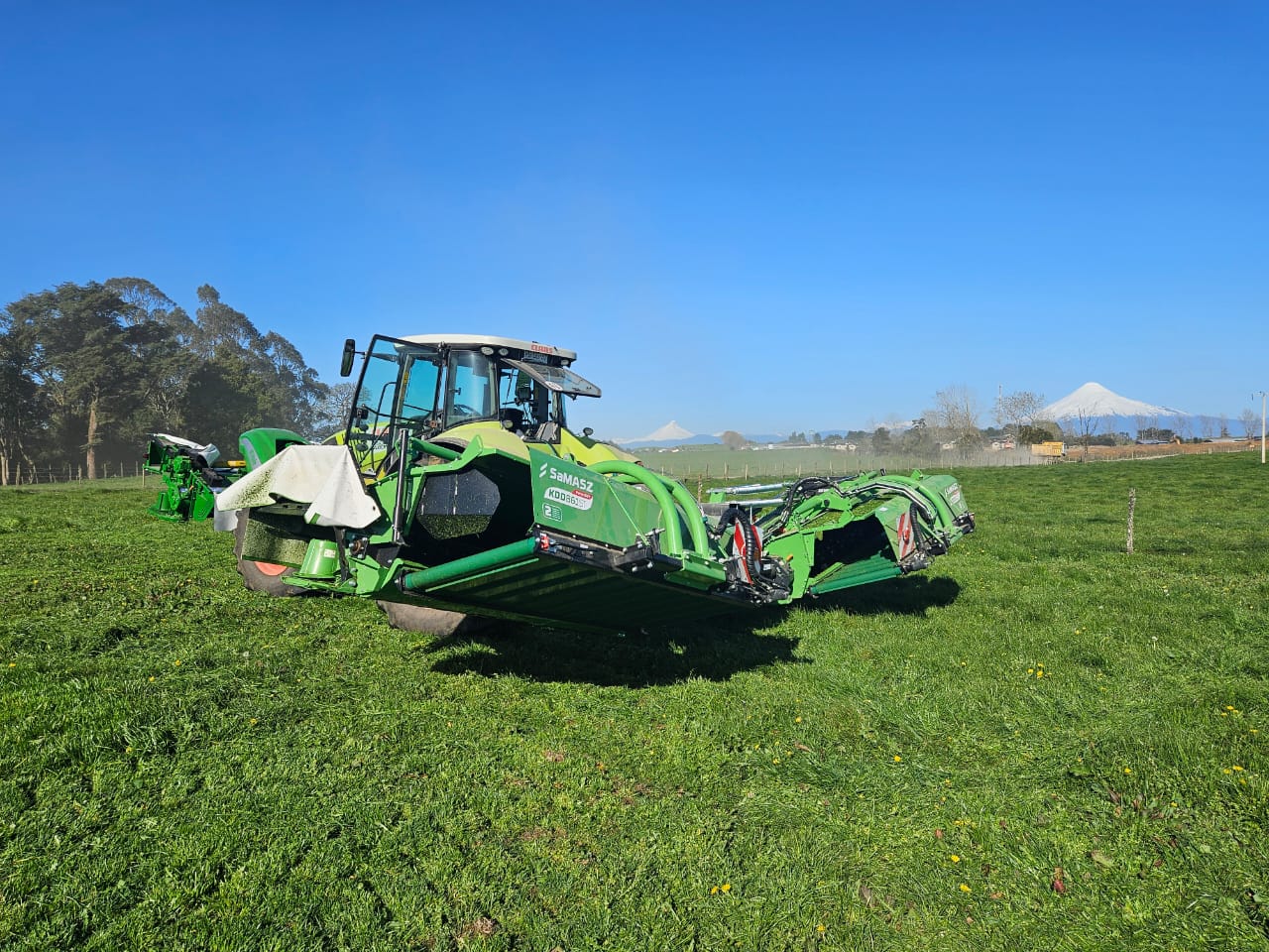 WhatsApp Image 2025-10-17 at 13.39.03